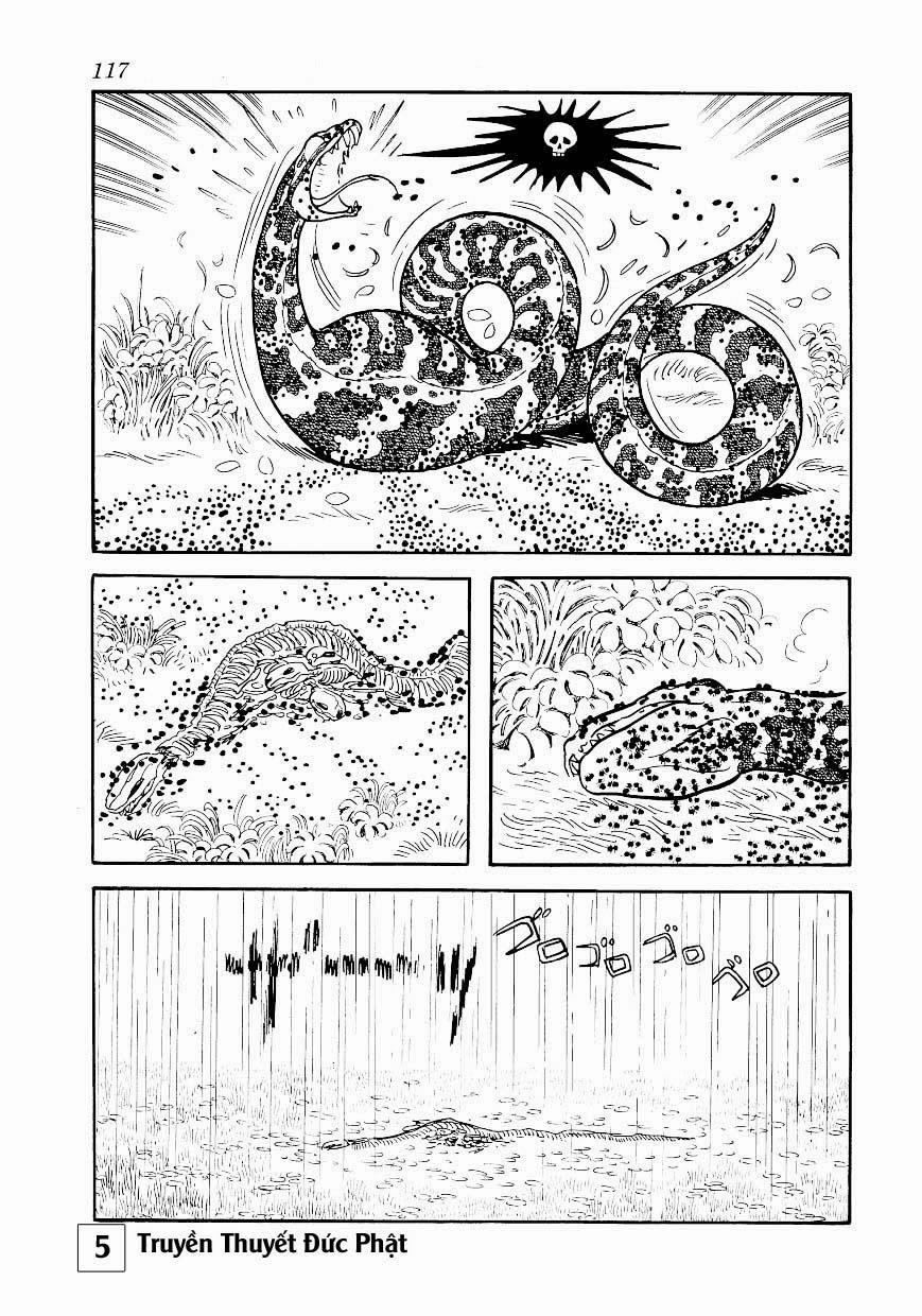 Buddha - Truyền Thuyết Đức Phật 25.1 trang 7