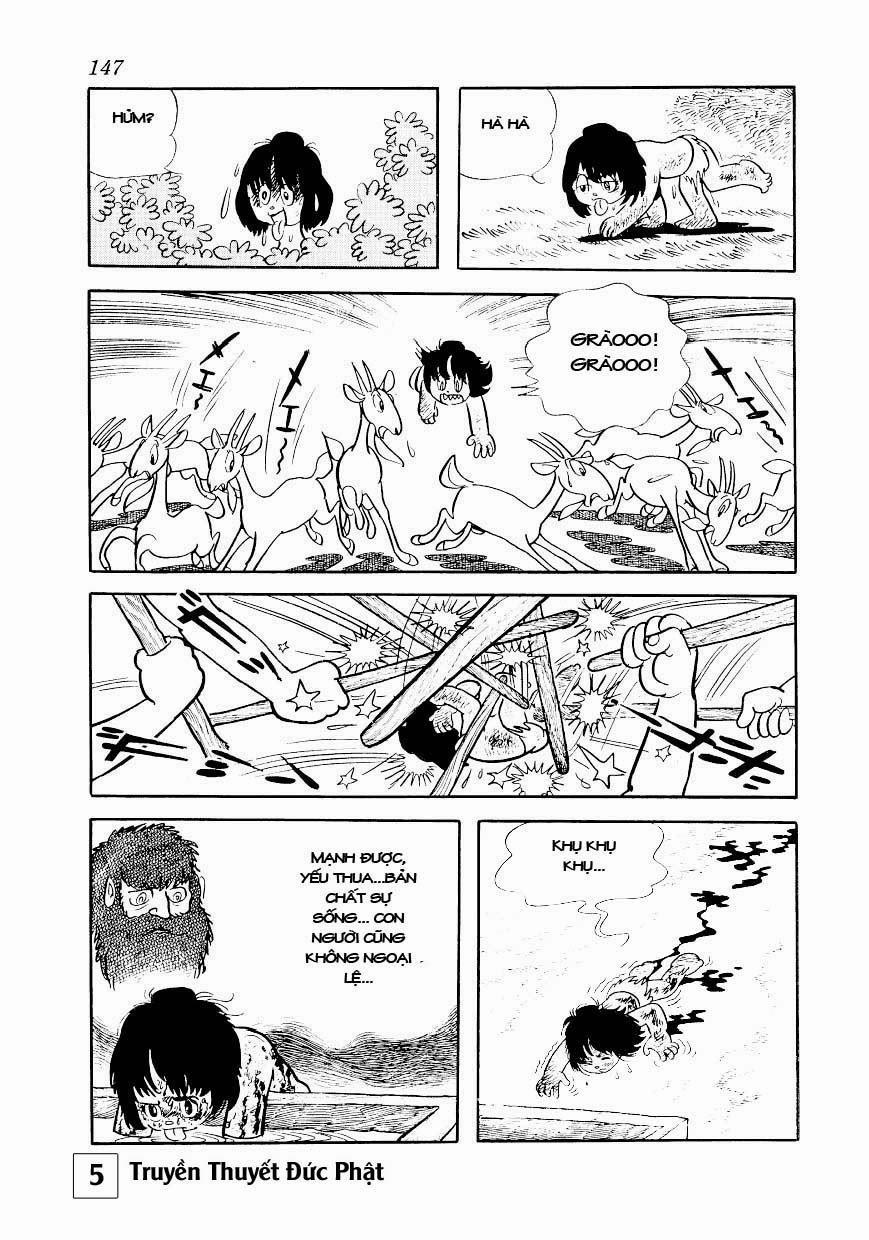 Buddha - Truyền Thuyết Đức Phật 25.2 trang 5