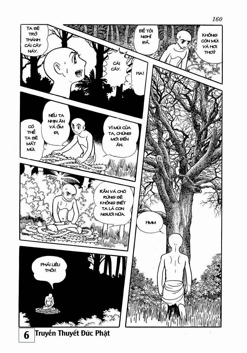 Buddha - Truyền Thuyết Đức Phật 29.2 trang 13