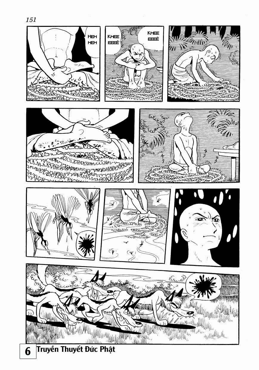 Buddha - Truyền Thuyết Đức Phật 29.2 trang 5
