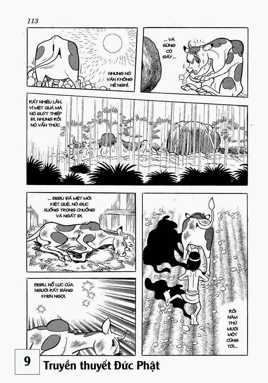 Buddha - Truyền Thuyết Đức Phật 41 trang 14