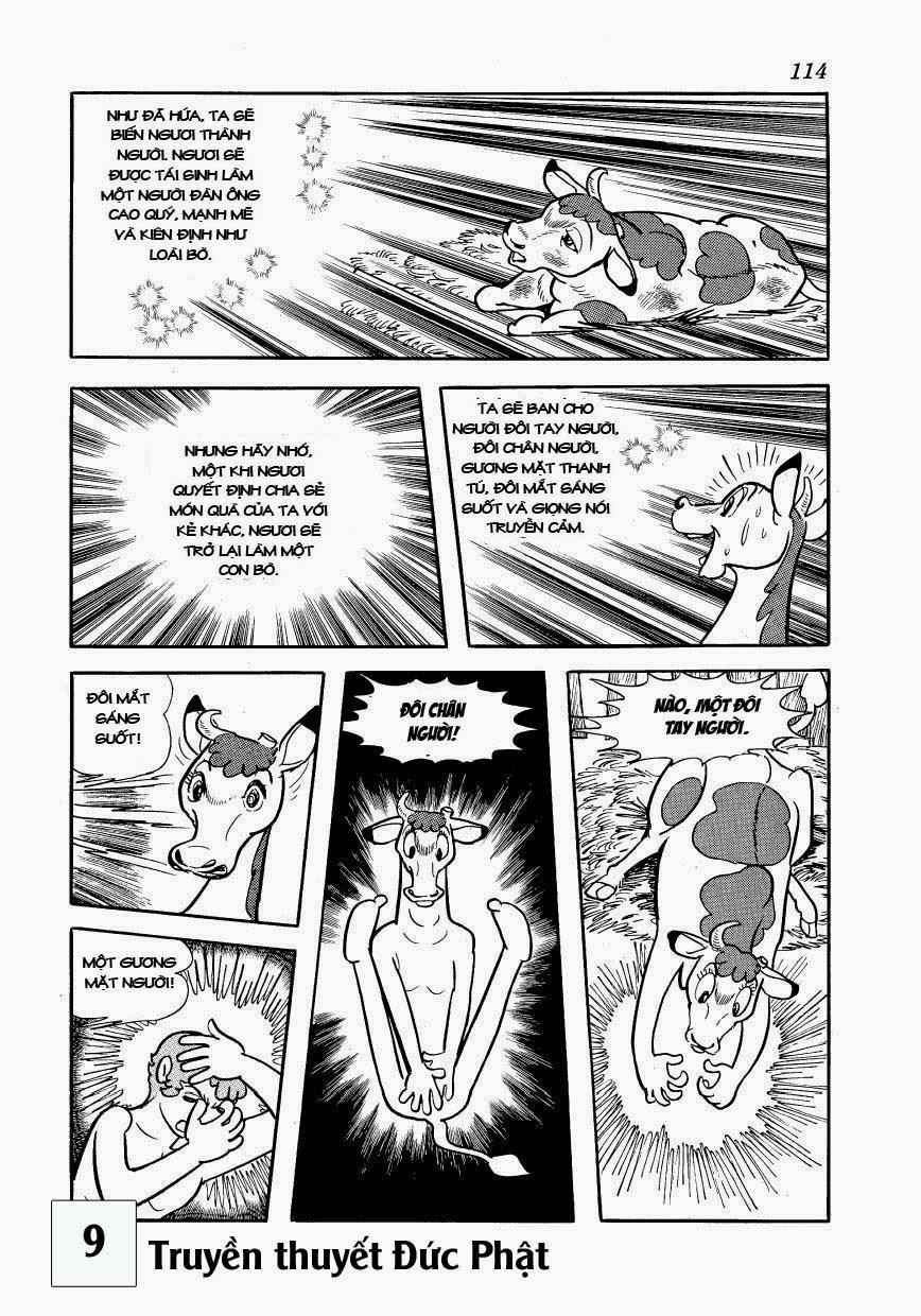 Buddha - Truyền Thuyết Đức Phật 41 trang 15