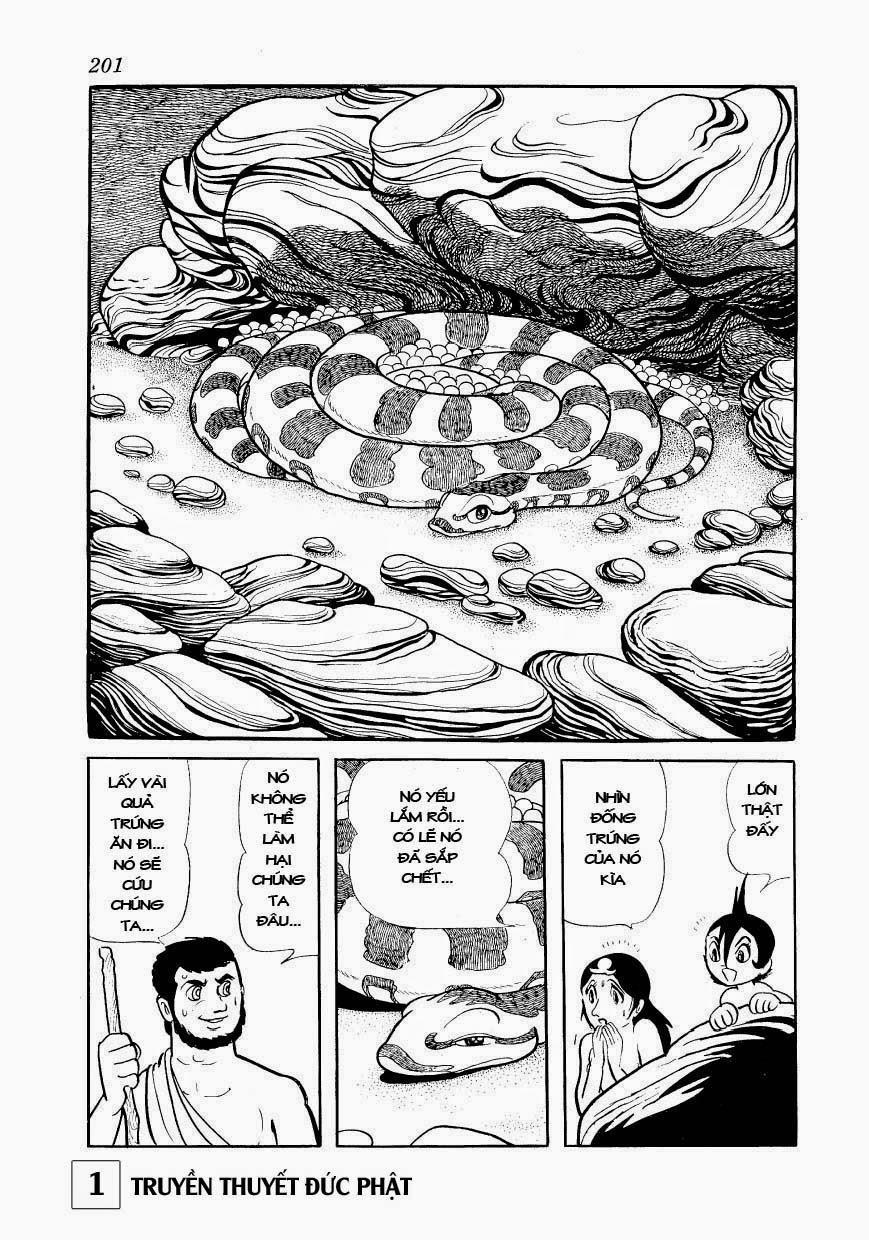 Buddha - Truyền Thuyết Đức Phật 5 trang 41