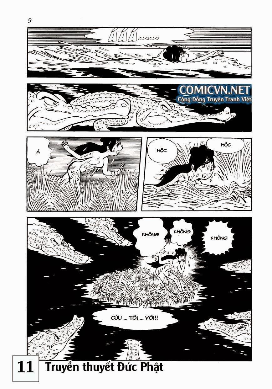 Buddha - Truyền Thuyết Đức Phật 50 trang 8