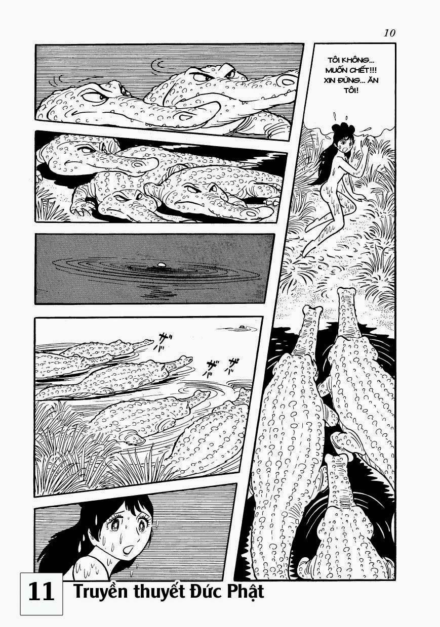 Buddha - Truyền Thuyết Đức Phật 50 trang 9