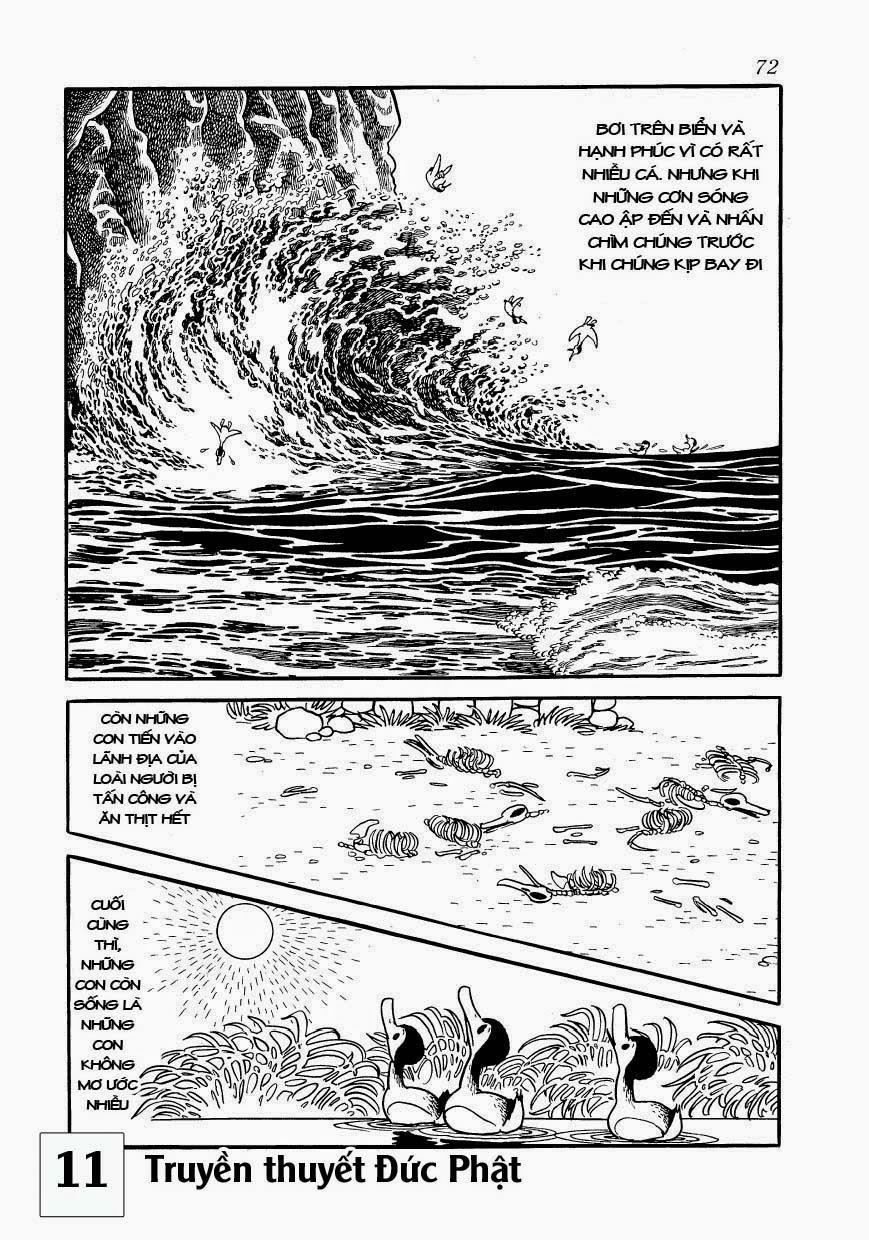 Buddha - Truyền Thuyết Đức Phật 51 trang 6