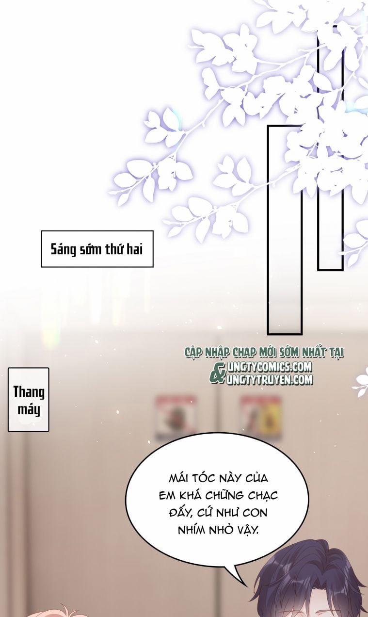 Bùi Bảo 57 trang 3