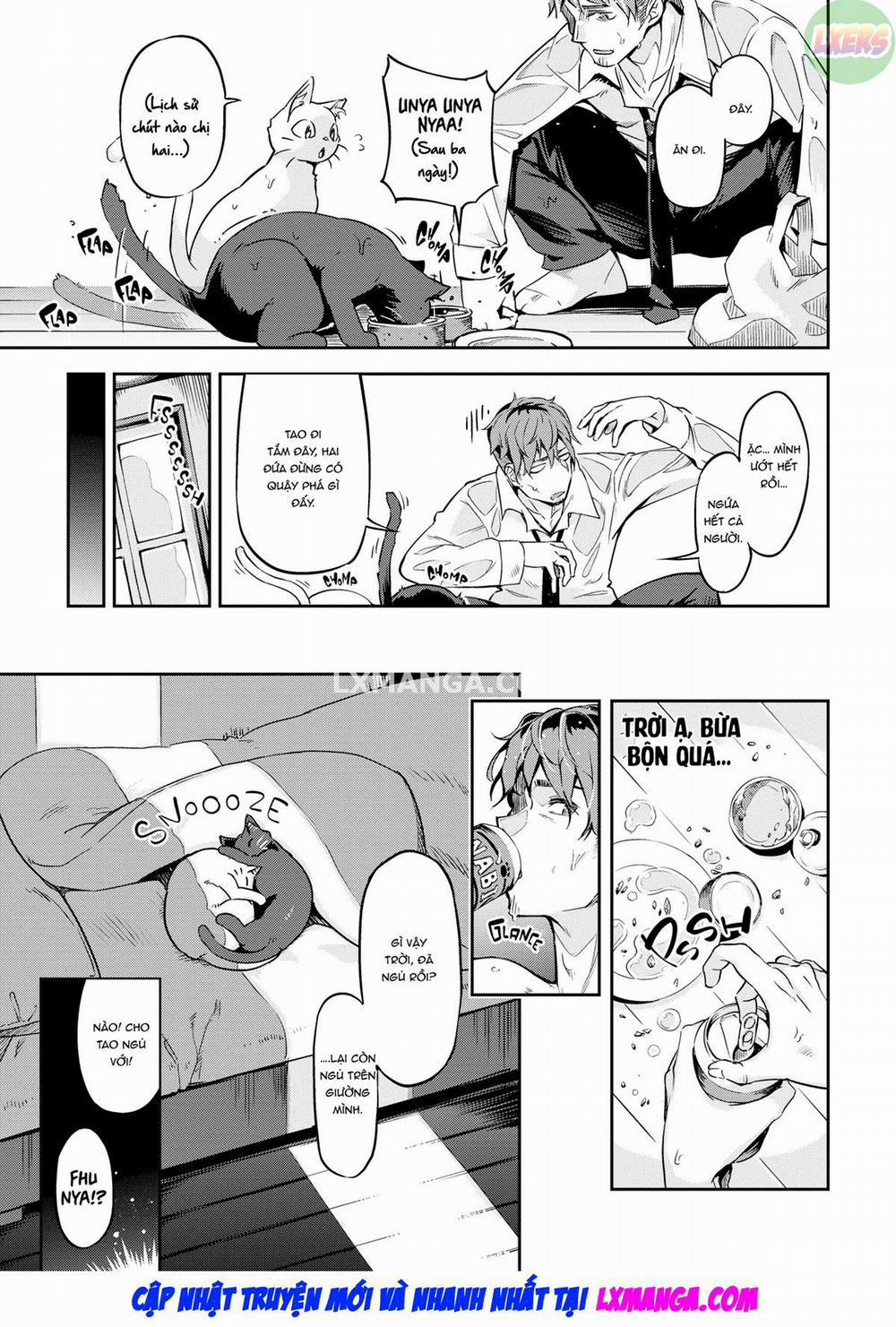 Bunny Mating Season 6 0 Uninvited Kitties trang 5