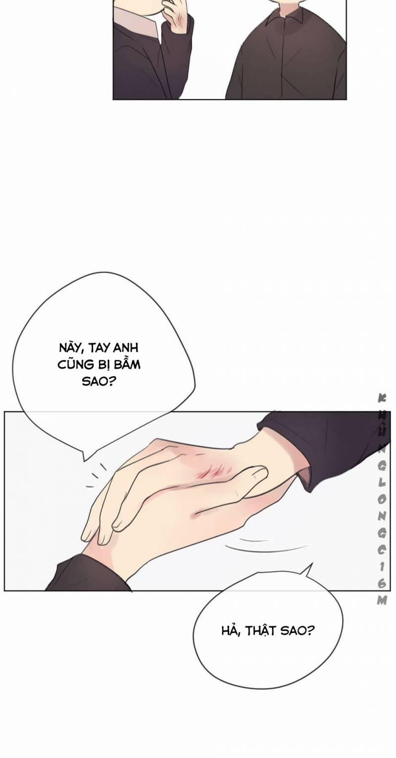 Bước Đến Bên Anh 13 trang 35