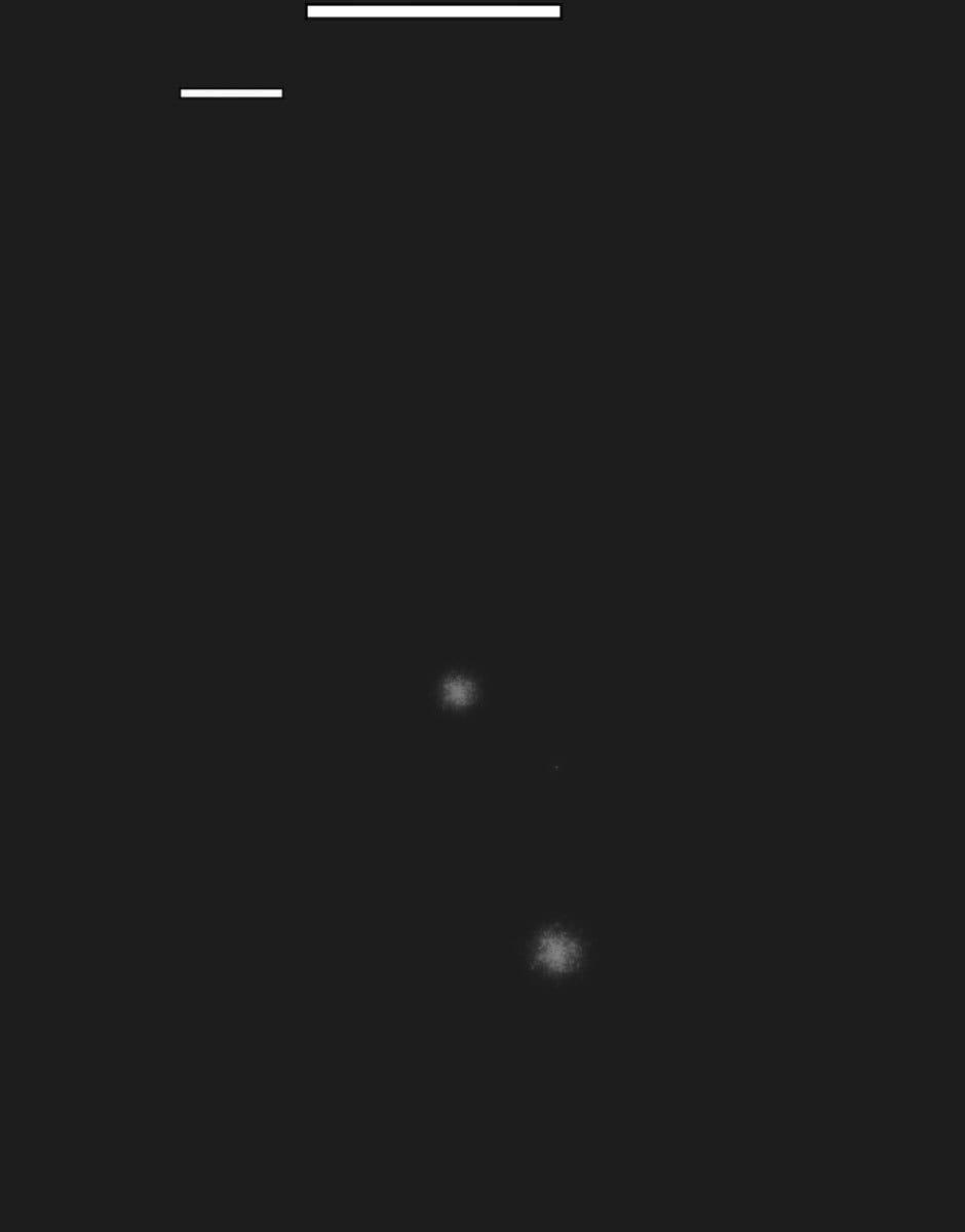 Bước Đến Bên Anh 22 trang 21