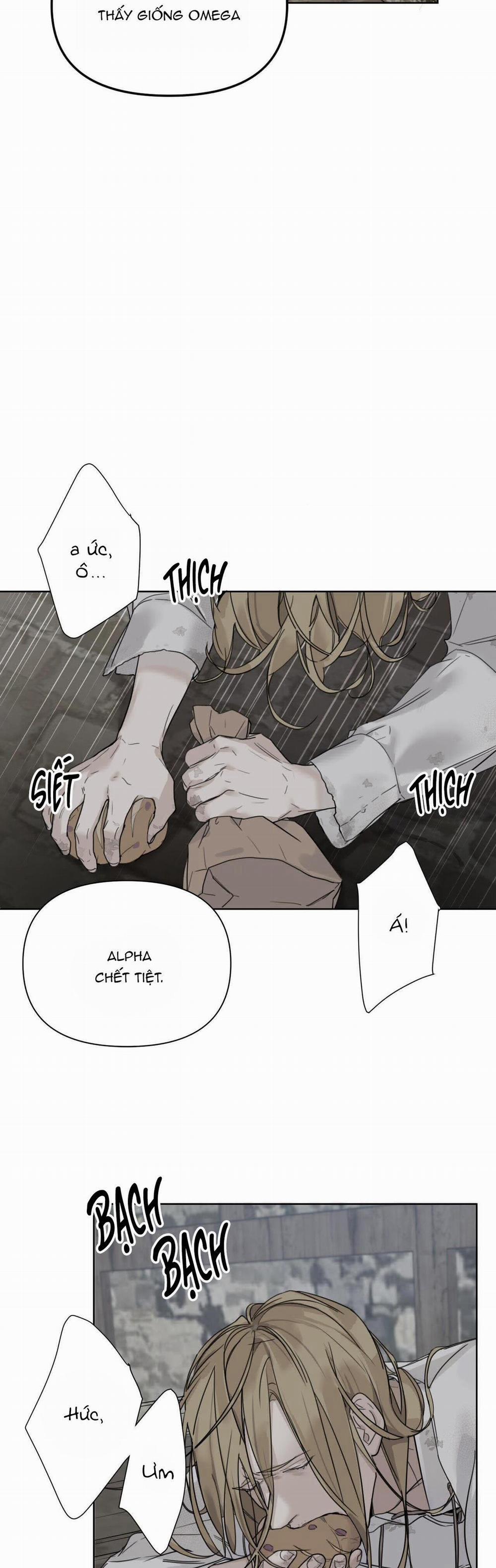 Bước Vào Vườn Hồng 1 trang 3