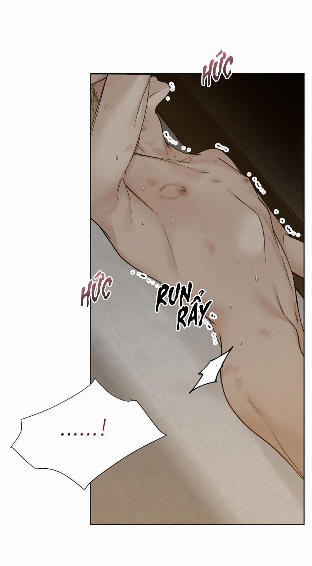 Bước Vào Vườn Hồng 22 trang 11