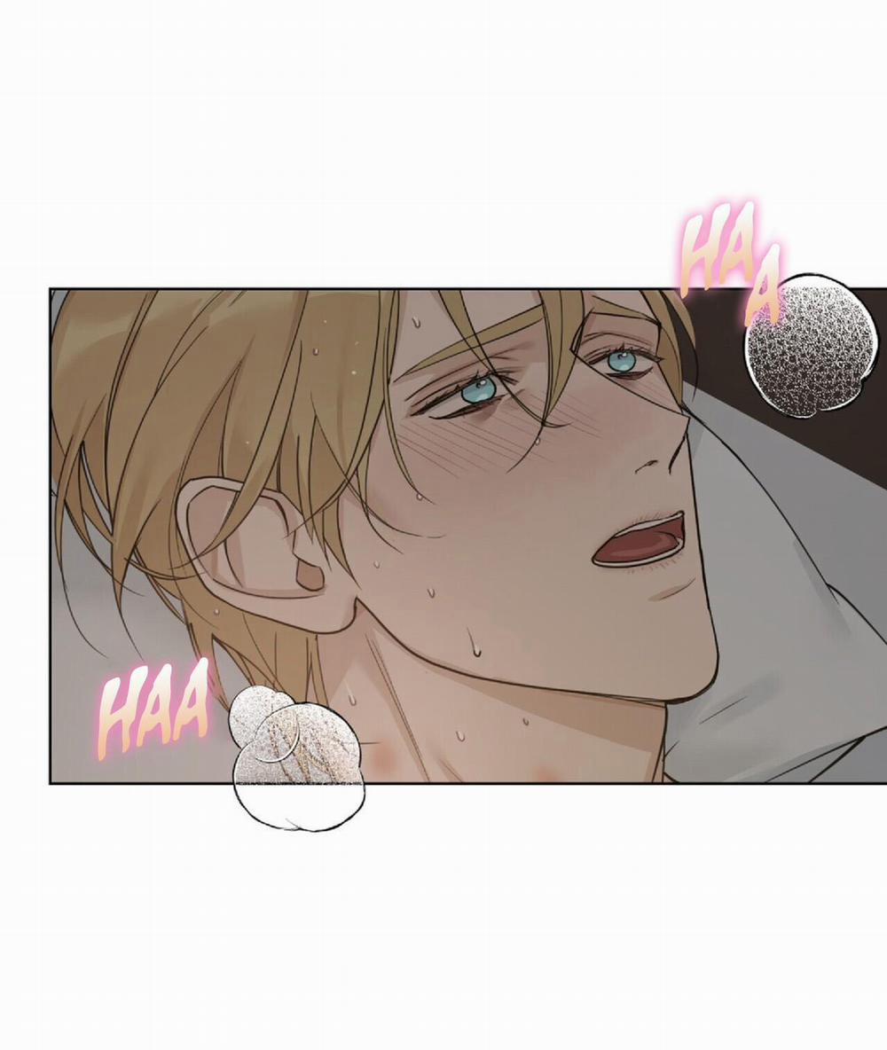 Bước Vào Vườn Hồng 22 trang 13