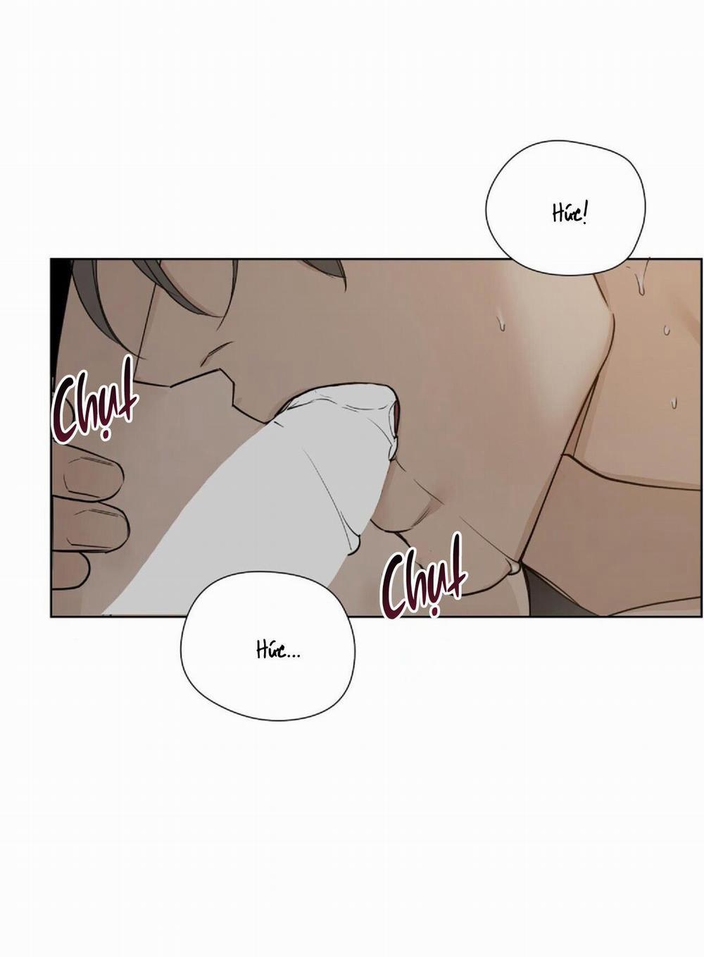 Bước Vào Vườn Hồng 22 trang 7