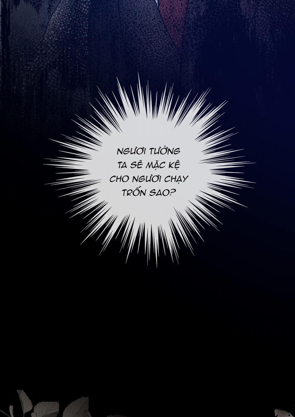 Bước Vào Vườn Hồng 24 trang 16