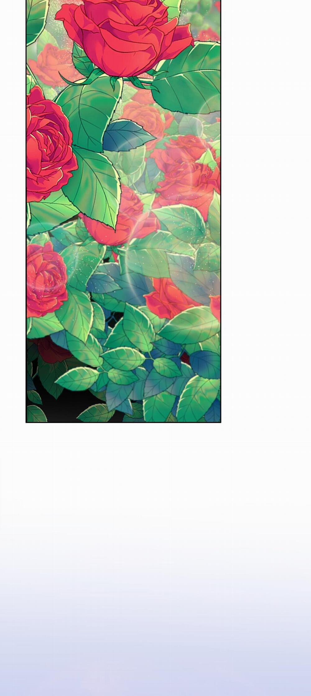 Bước Vào Vườn Hồng 26 trang 23