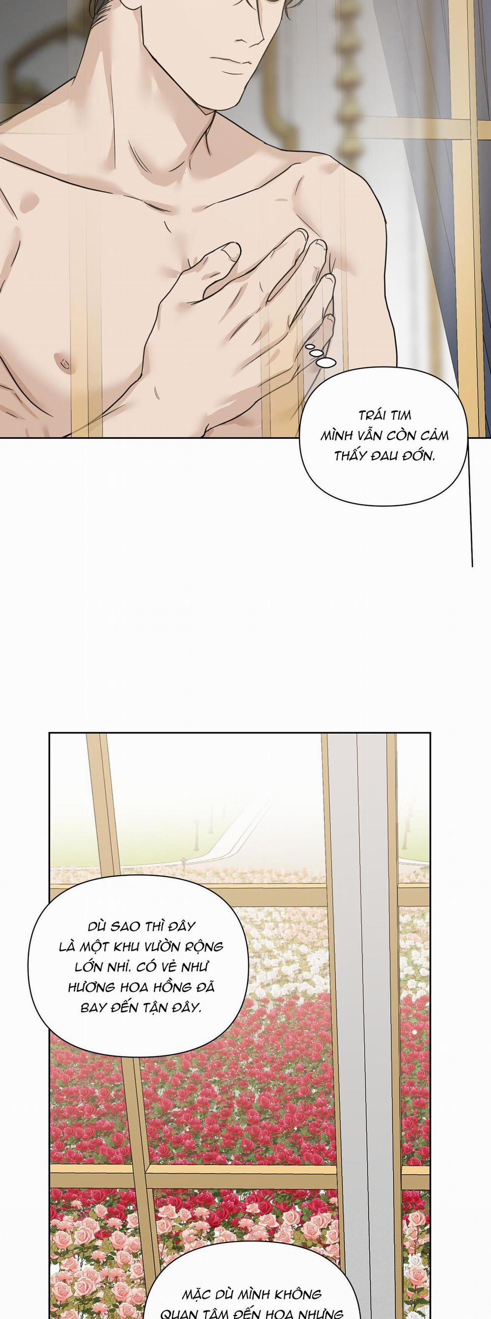 Bước Vào Vườn Hồng 28 trang 19