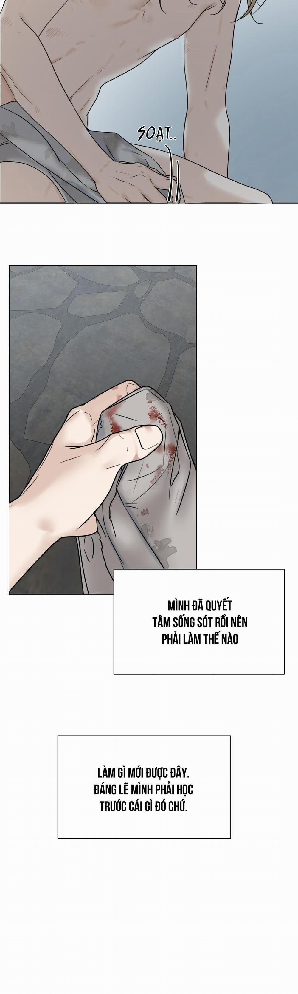 Bước Vào Vườn Hồng 3 trang 4