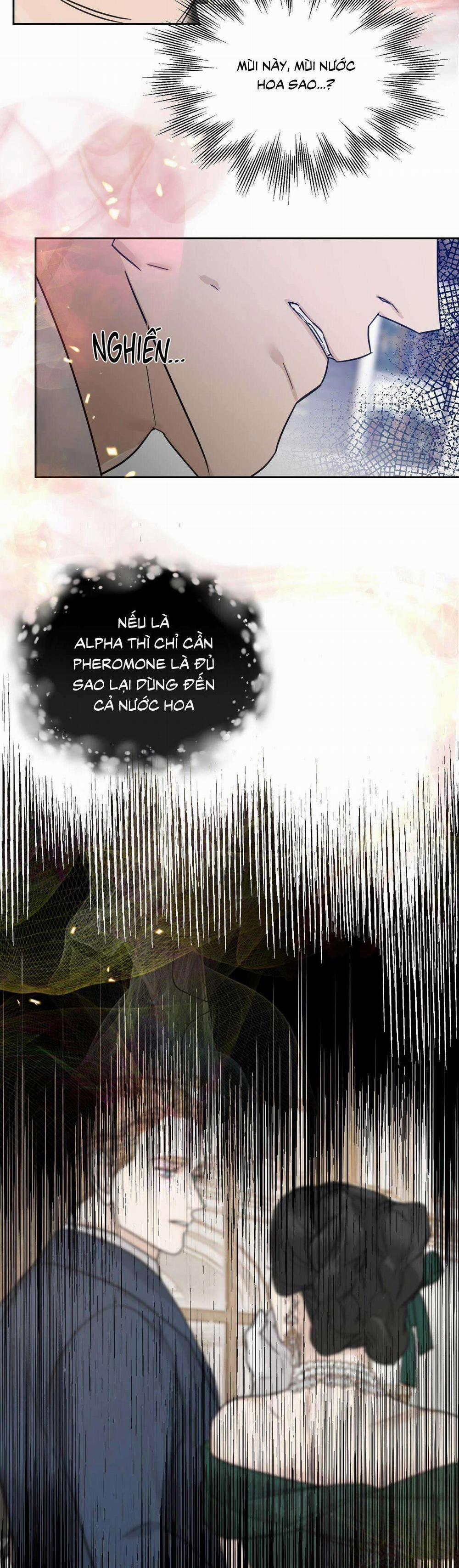 Bước Vào Vườn Hồng 37 trang 16