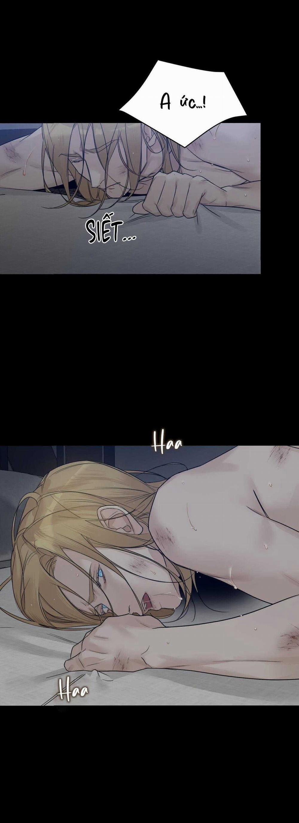 Bước Vào Vườn Hồng 41 trang 1