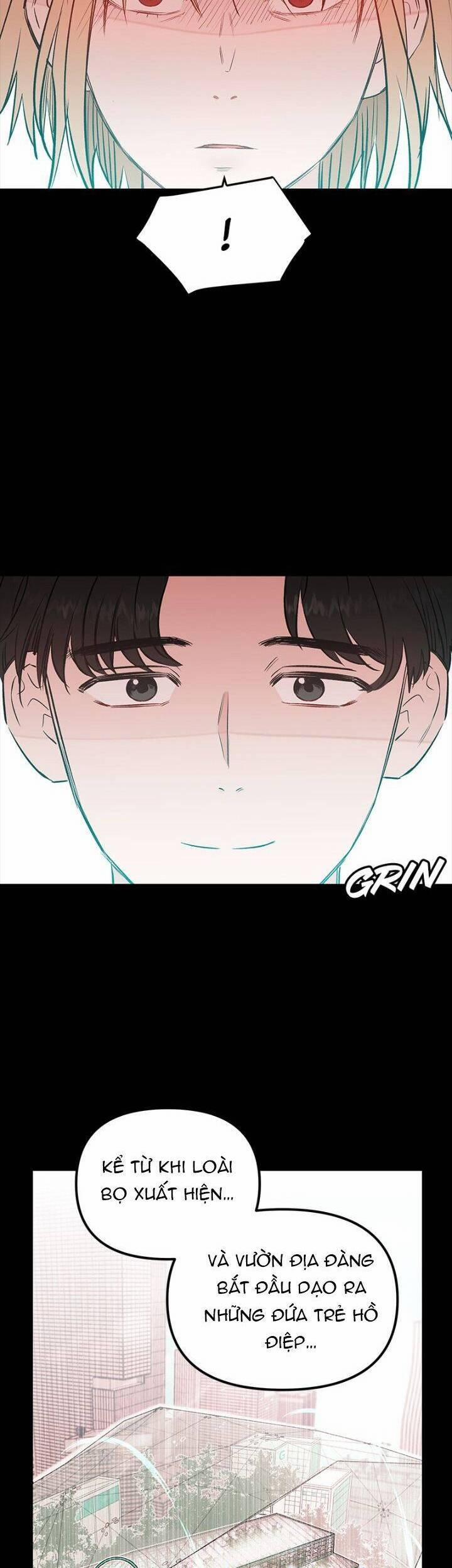 Bươm Bướm Và Máu 51 trang 17