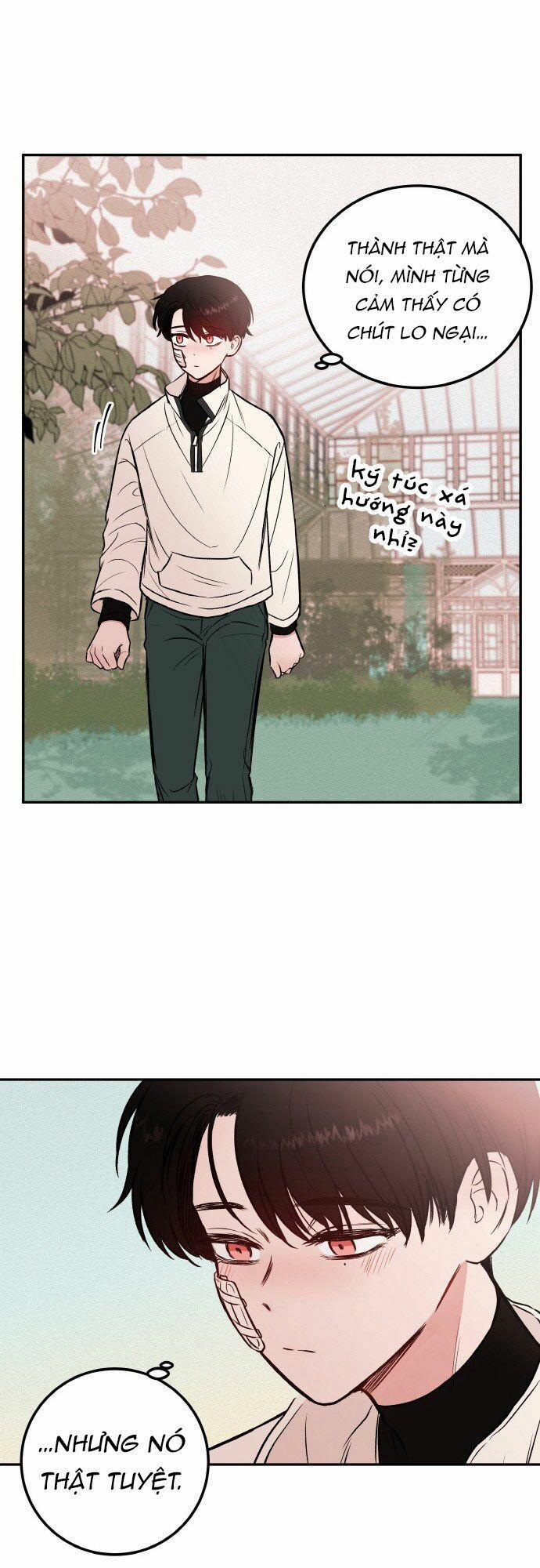 Bươm Bướm Và Máu 6 trang 29