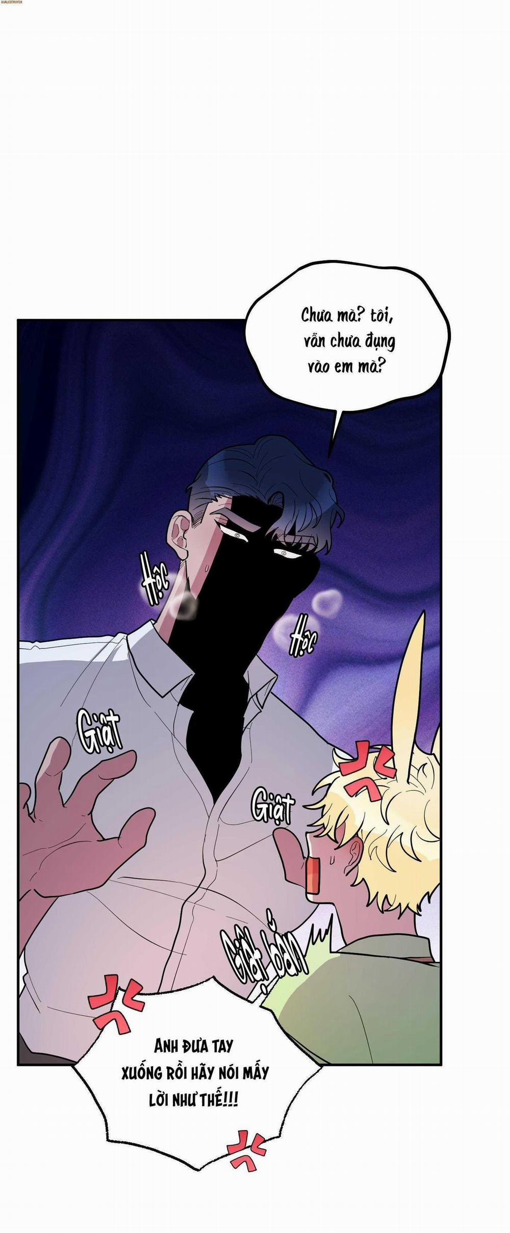 CÁ MẬP VÀ CÔ DÂU THỎ 36 trang 1