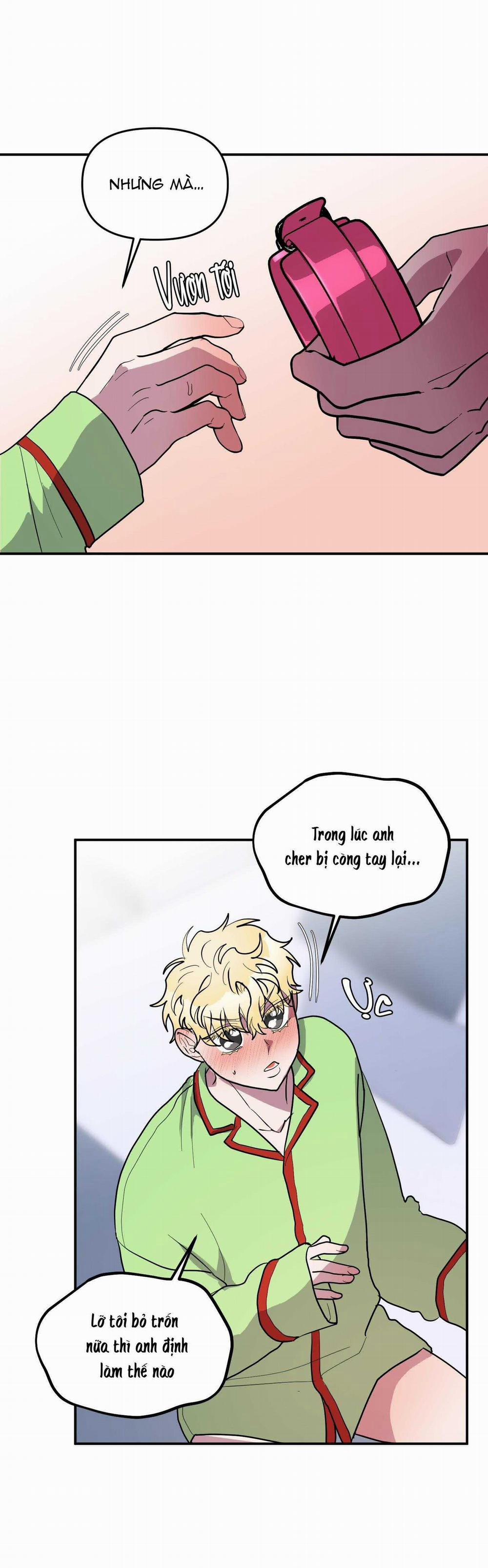CÁ MẬP VÀ CÔ DÂU THỎ 36 trang 14