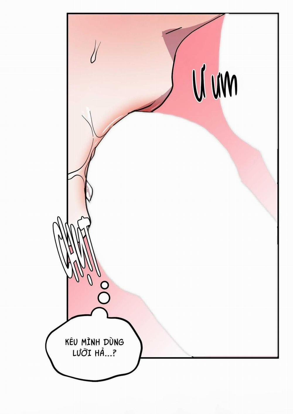 CÁ MẬP VÀ CÔ DÂU THỎ 36 trang 27