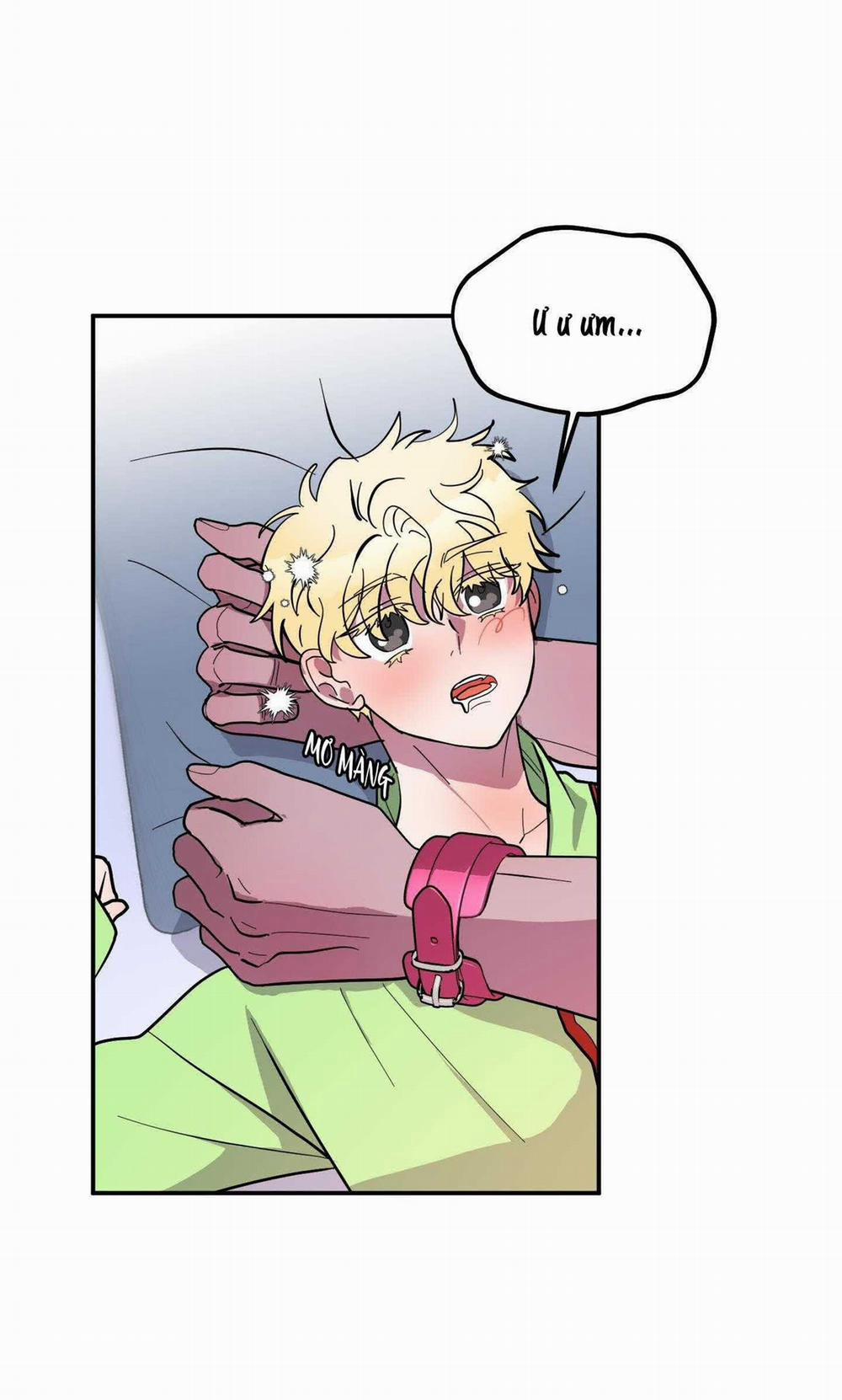 CÁ MẬP VÀ CÔ DÂU THỎ 37 trang 1