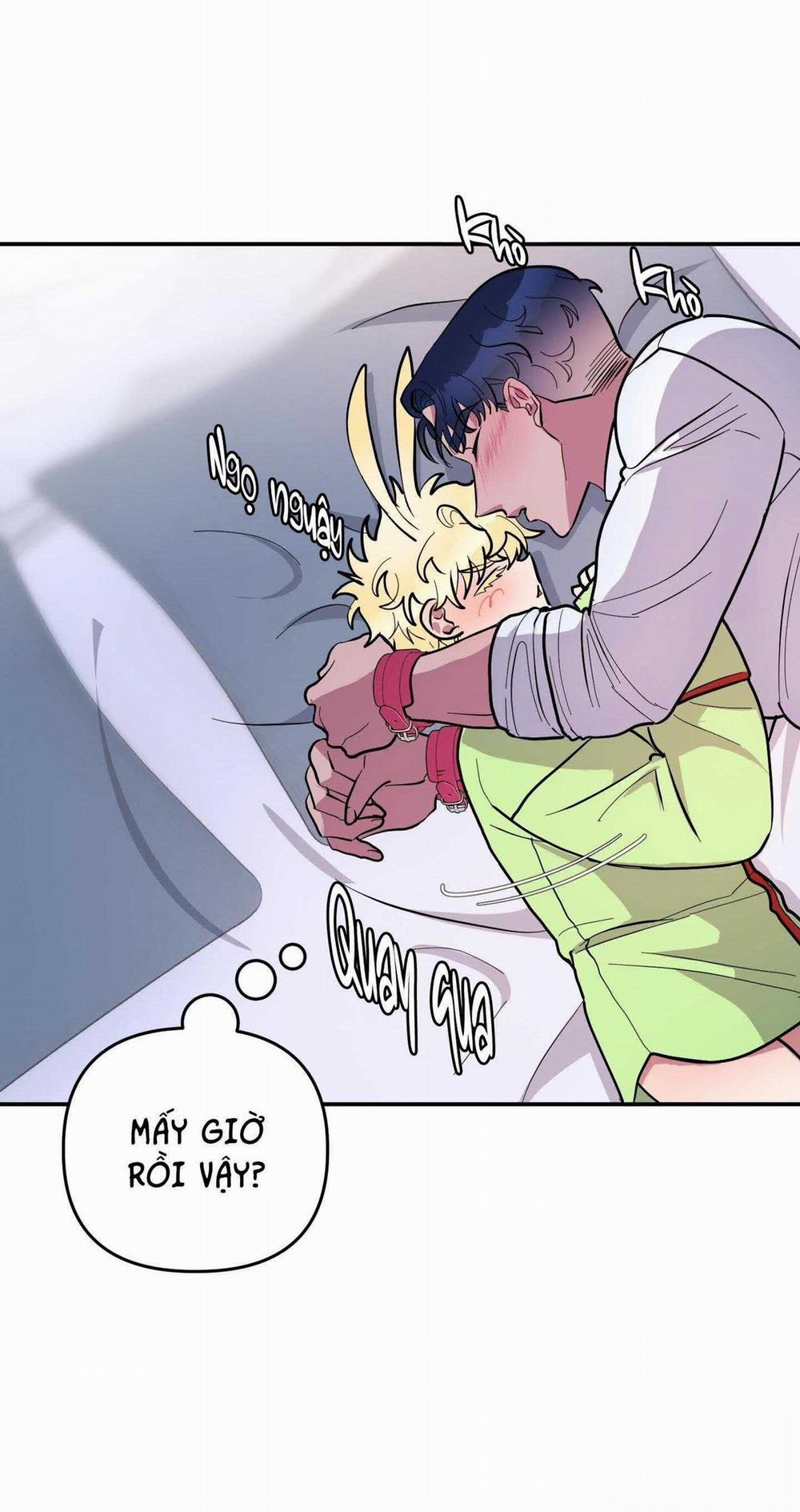 CÁ MẬP VÀ CÔ DÂU THỎ 37 trang 2