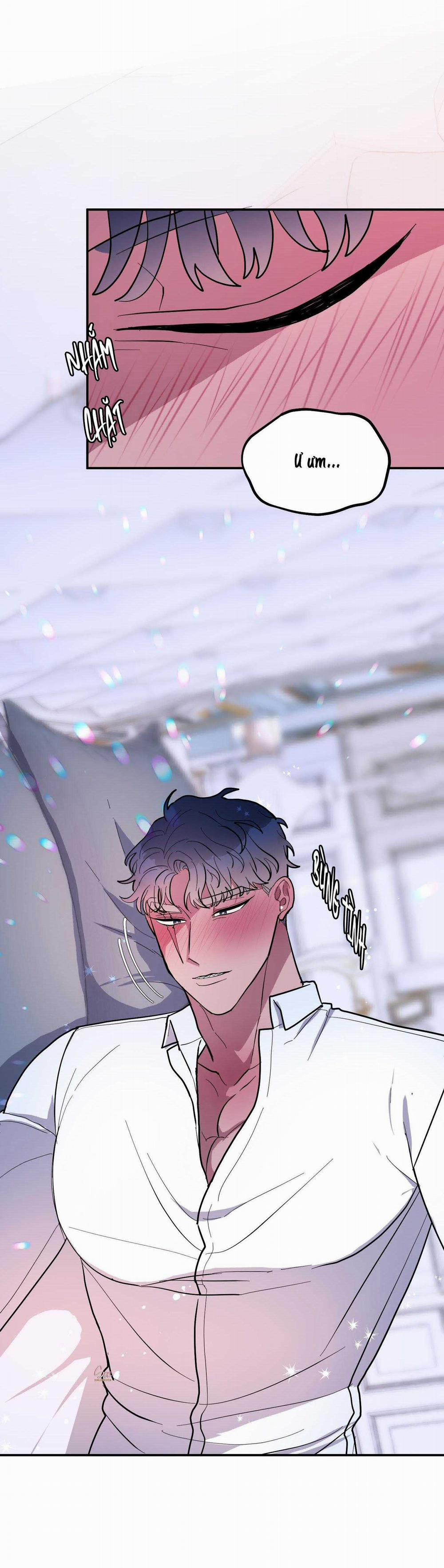 CÁ MẬP VÀ CÔ DÂU THỎ 37 trang 3