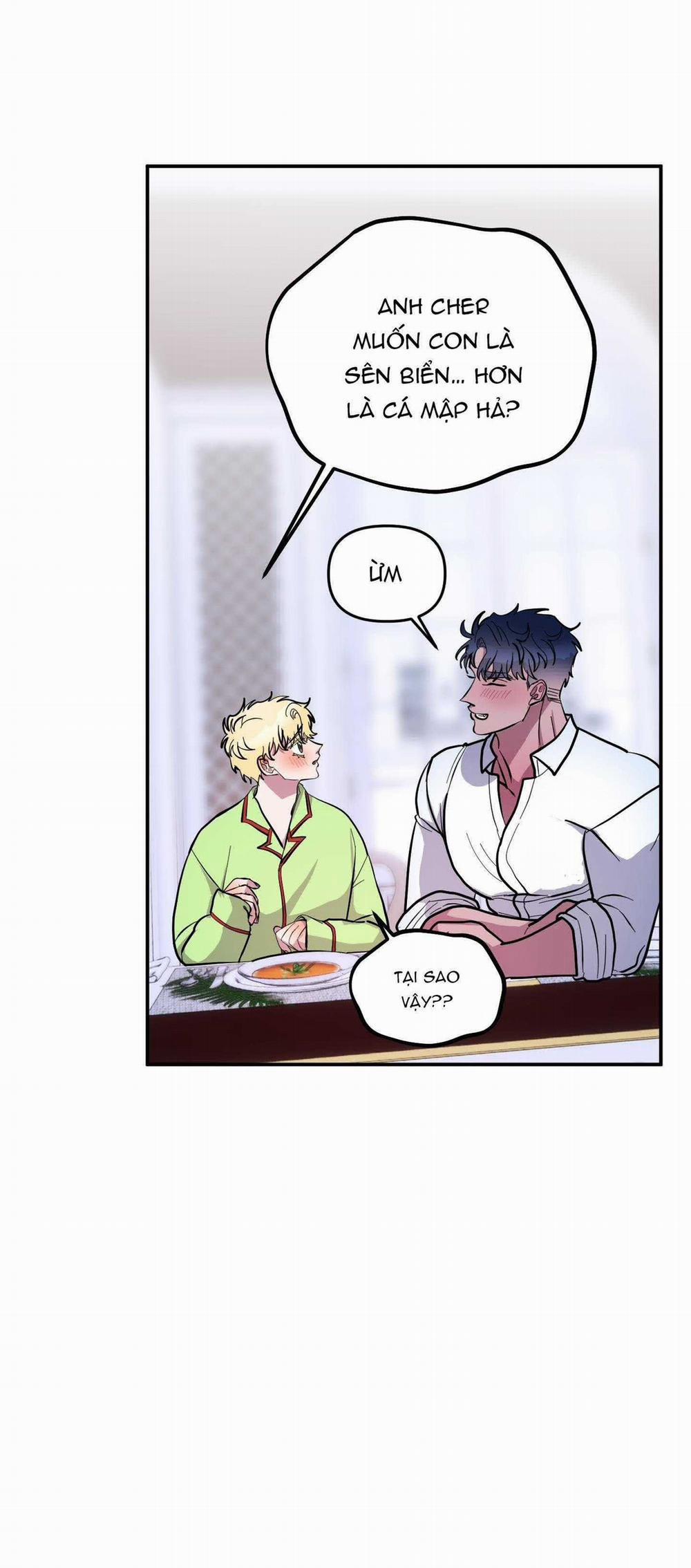 CÁ MẬP VÀ CÔ DÂU THỎ 37 trang 40