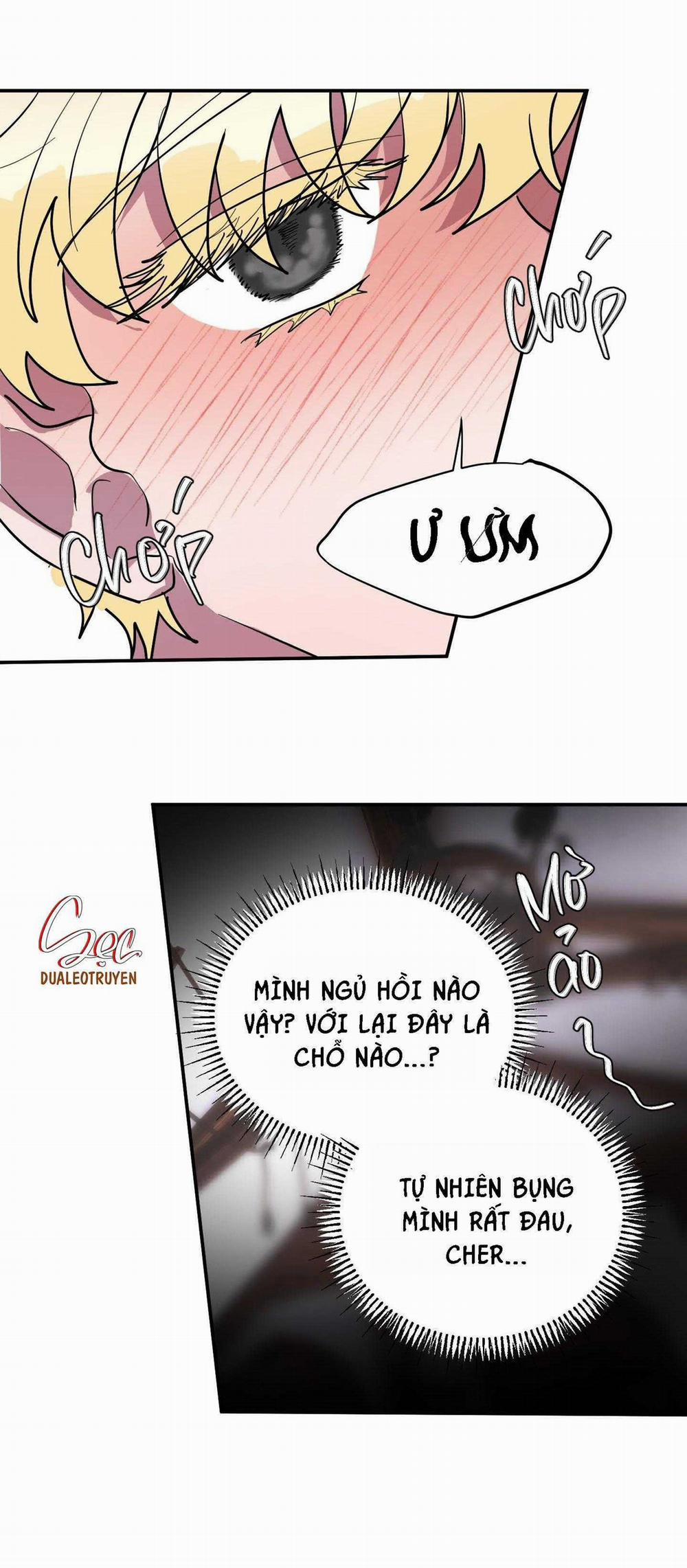 CÁ MẬP VÀ CÔ DÂU THỎ 38 trang 42