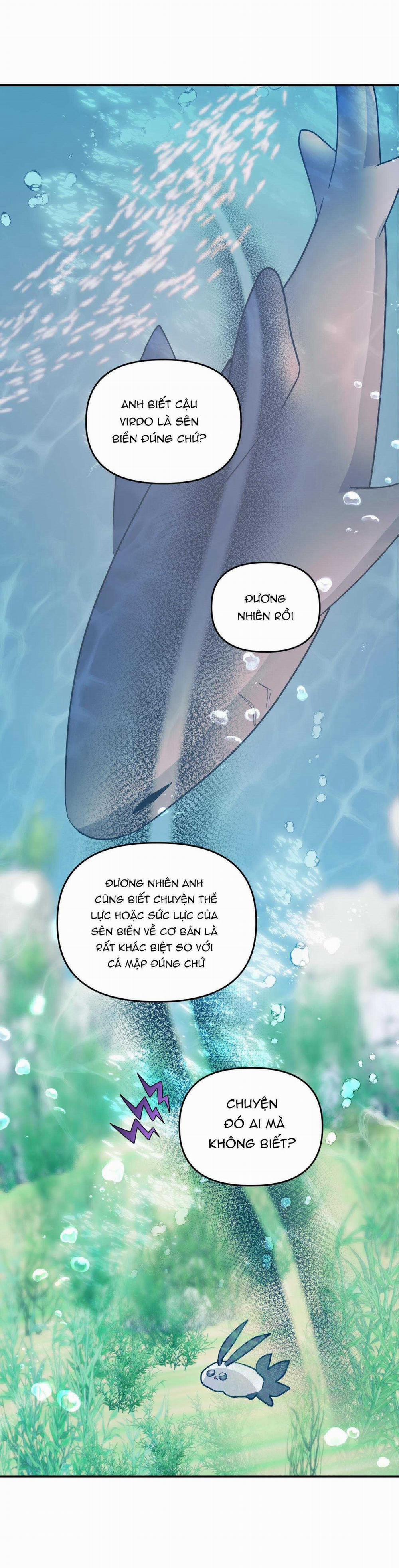 CÁ MẬP VÀ CÔ DÂU THỎ 39 trang 14