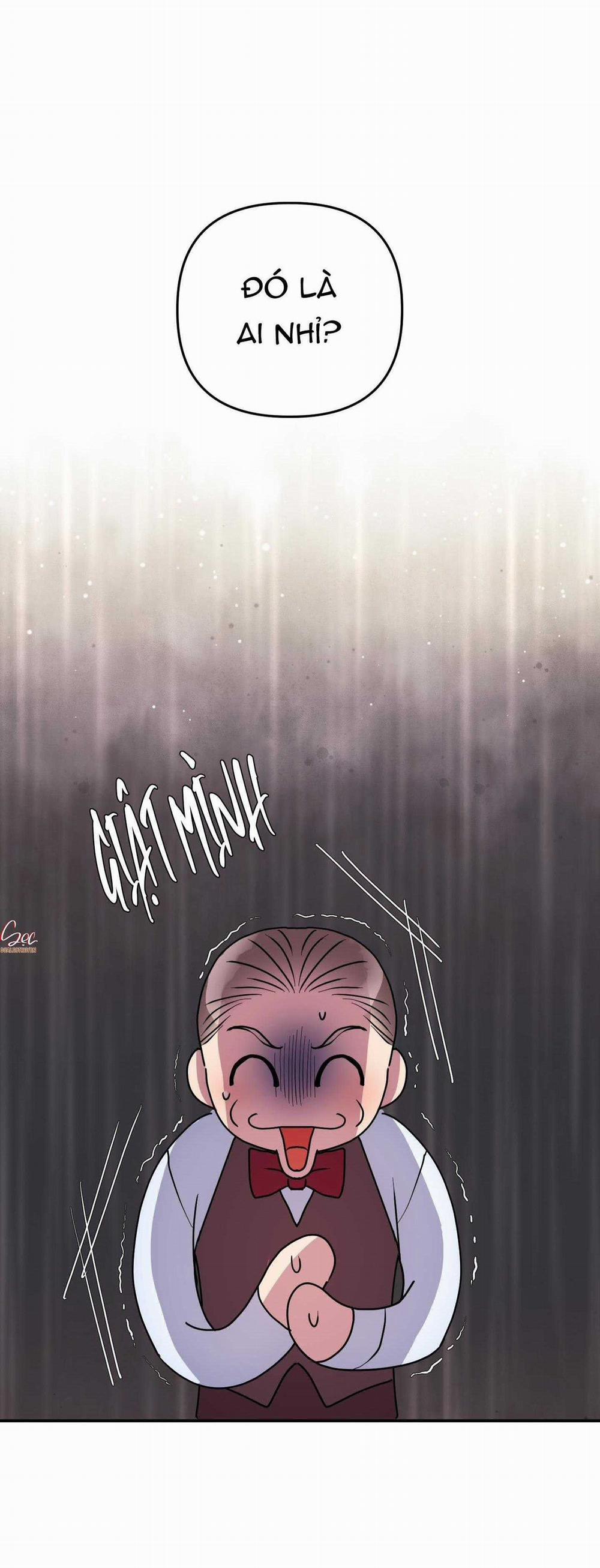 CÁ MẬP VÀ CÔ DÂU THỎ 40 trang 23