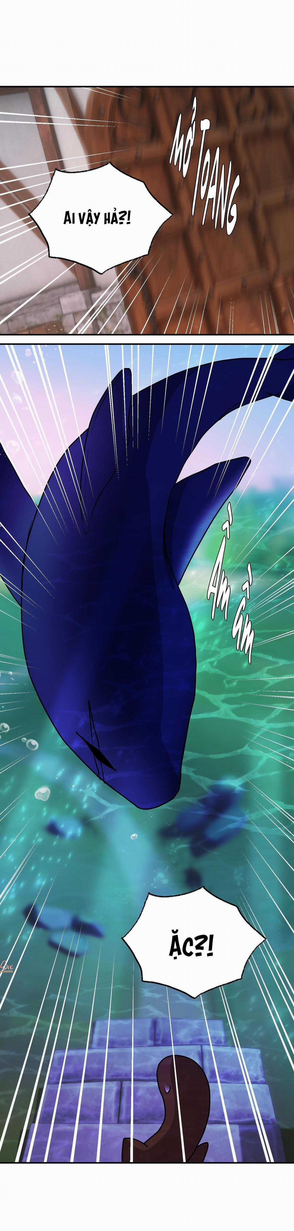 CÁ MẬP VÀ CÔ DÂU THỎ 40 trang 3