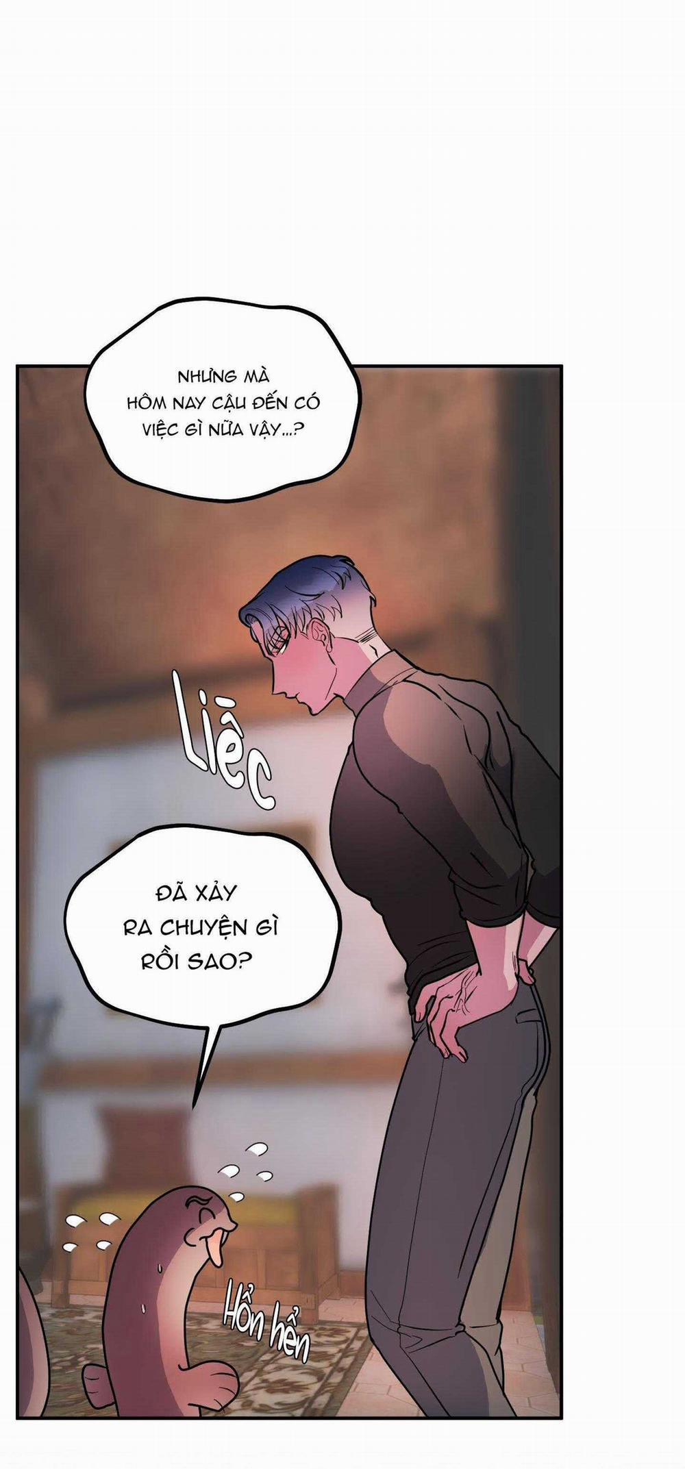 CÁ MẬP VÀ CÔ DÂU THỎ 40 trang 8