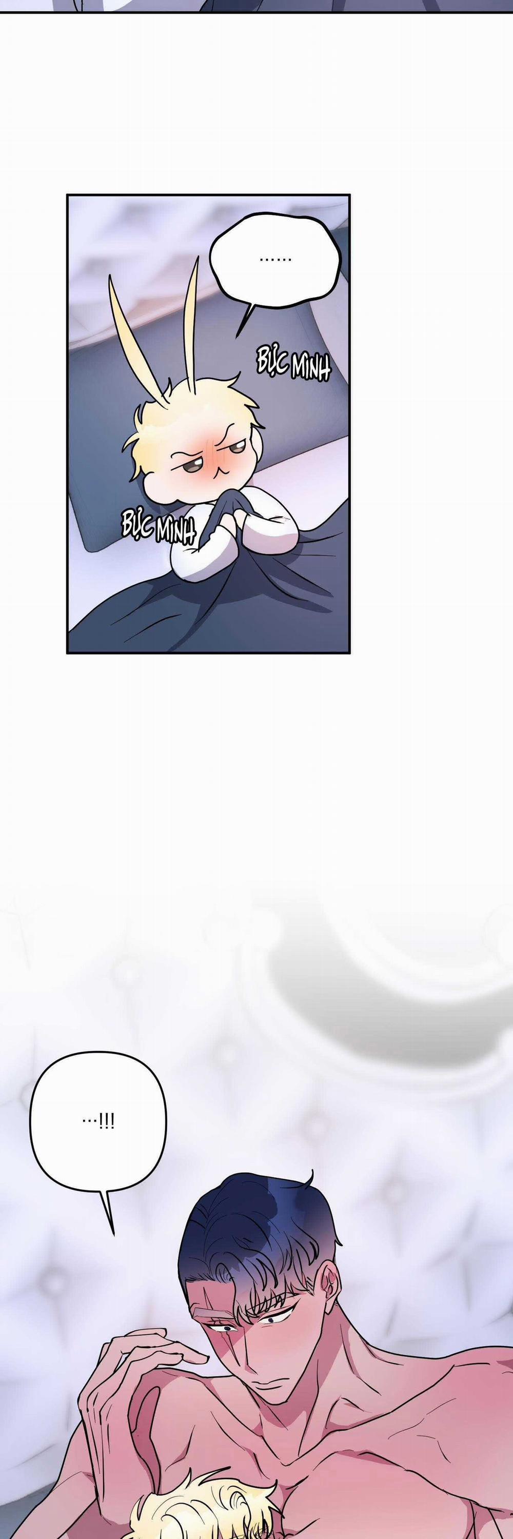 CÁ MẬP VÀ CÔ DÂU THỎ 41 trang 13