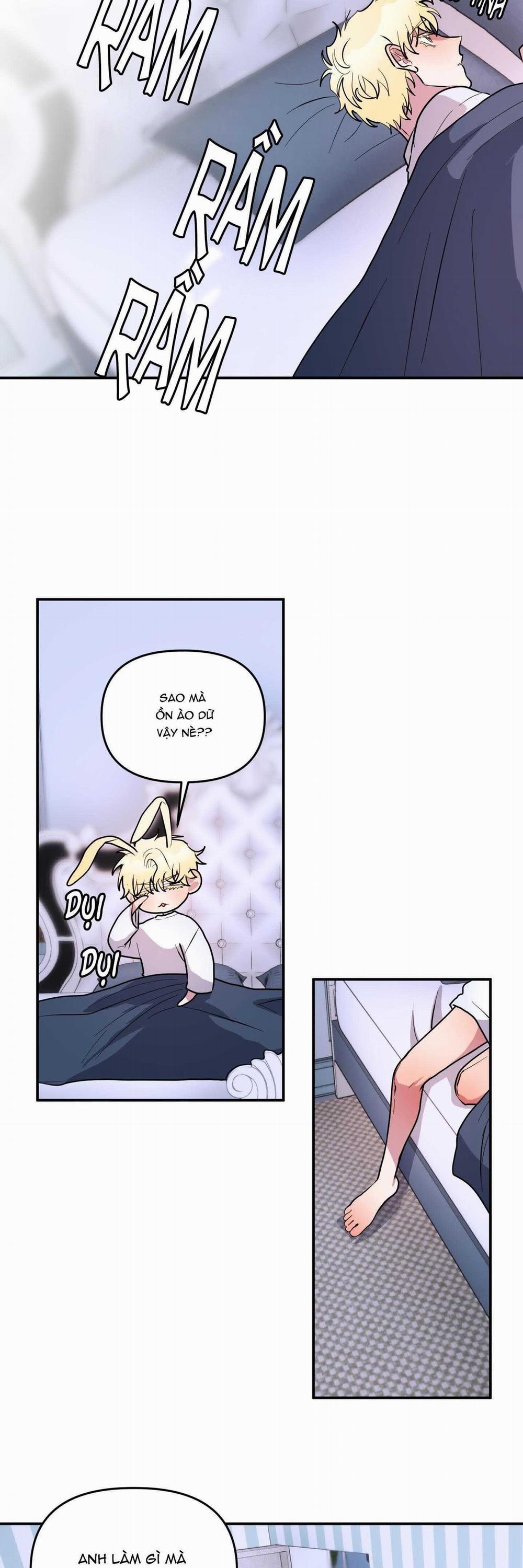 CÁ MẬP VÀ CÔ DÂU THỎ 41 trang 18