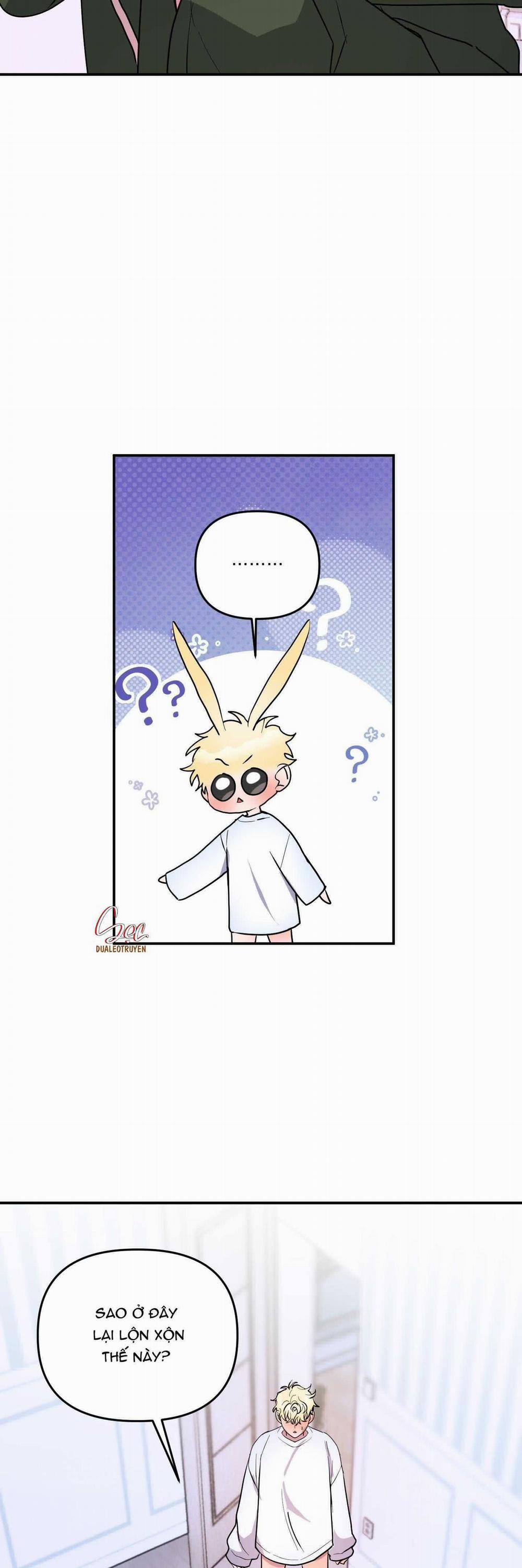 CÁ MẬP VÀ CÔ DÂU THỎ 41 trang 20