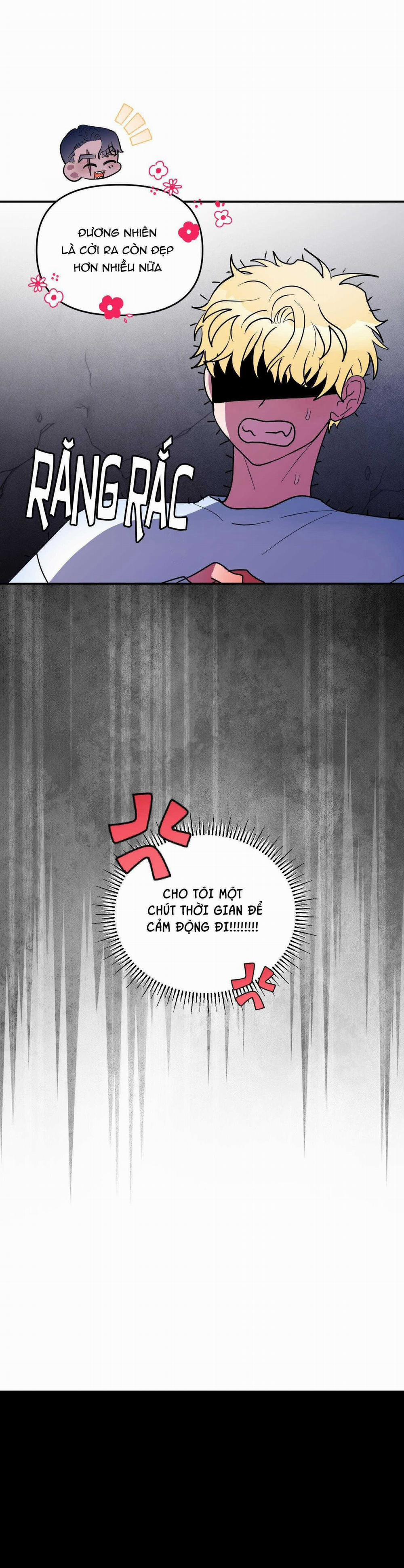 CÁ MẬP VÀ CÔ DÂU THỎ 41 trang 36