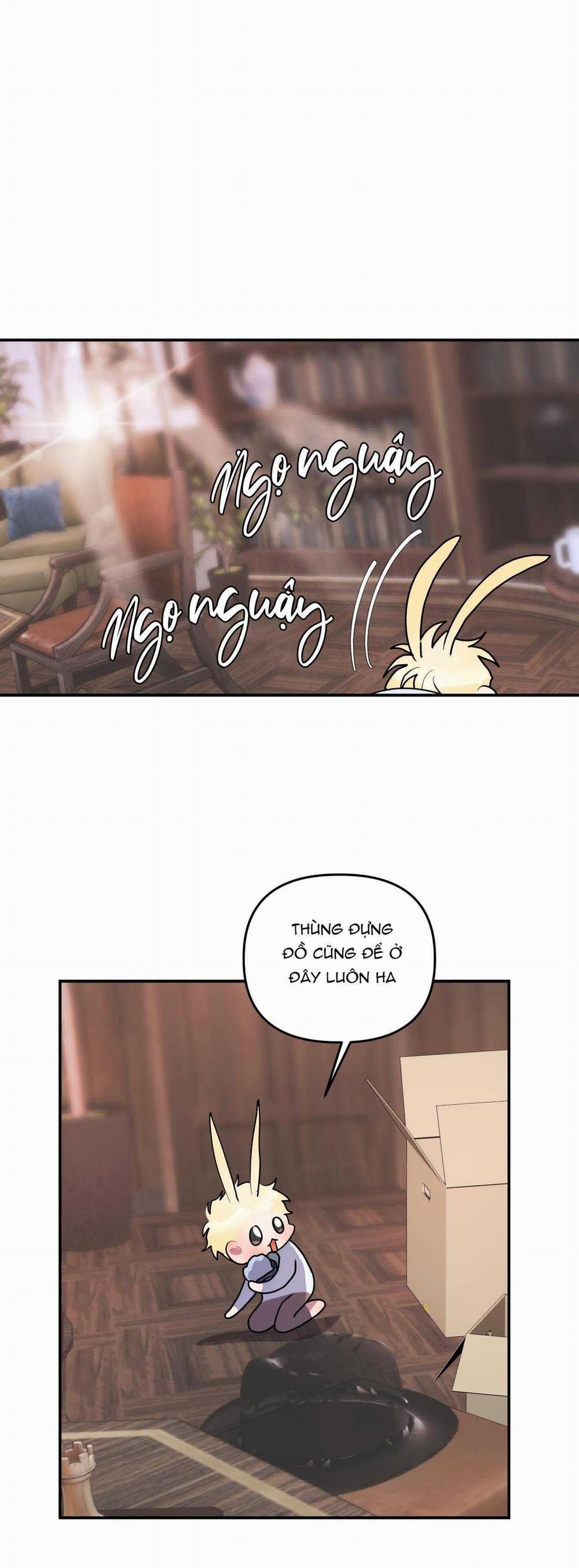 CÁ MẬP VÀ CÔ DÂU THỎ 42 trang 15