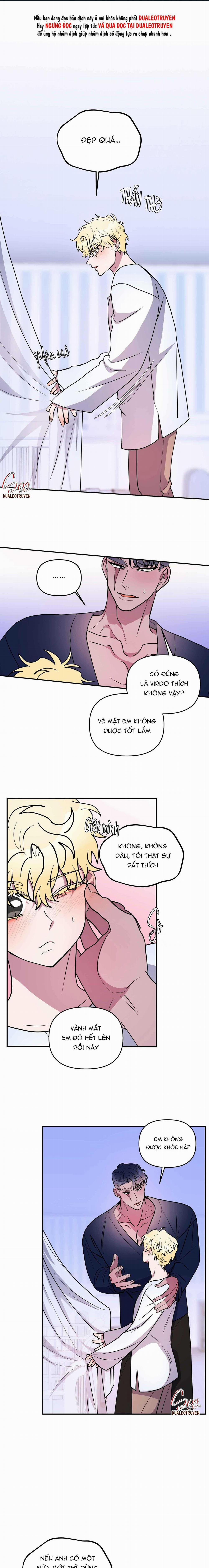 CÁ MẬP VÀ CÔ DÂU THỎ 43 trang 0