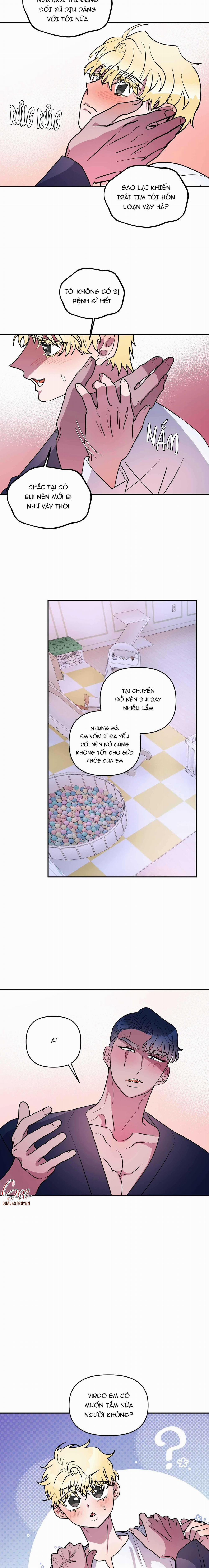 CÁ MẬP VÀ CÔ DÂU THỎ 43 trang 1