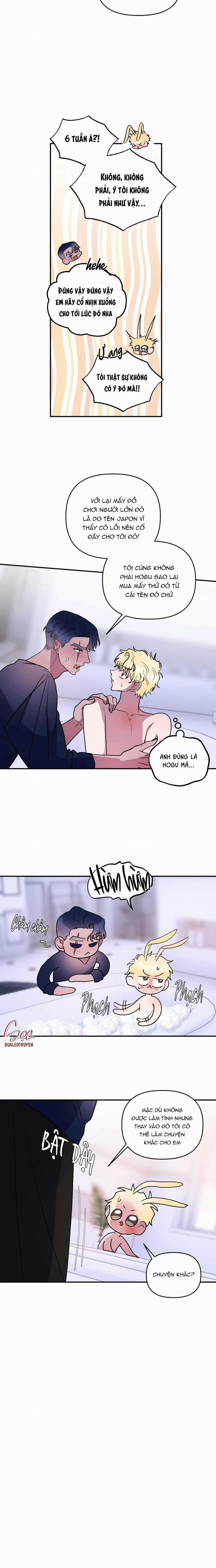 CÁ MẬP VÀ CÔ DÂU THỎ 43 trang 11