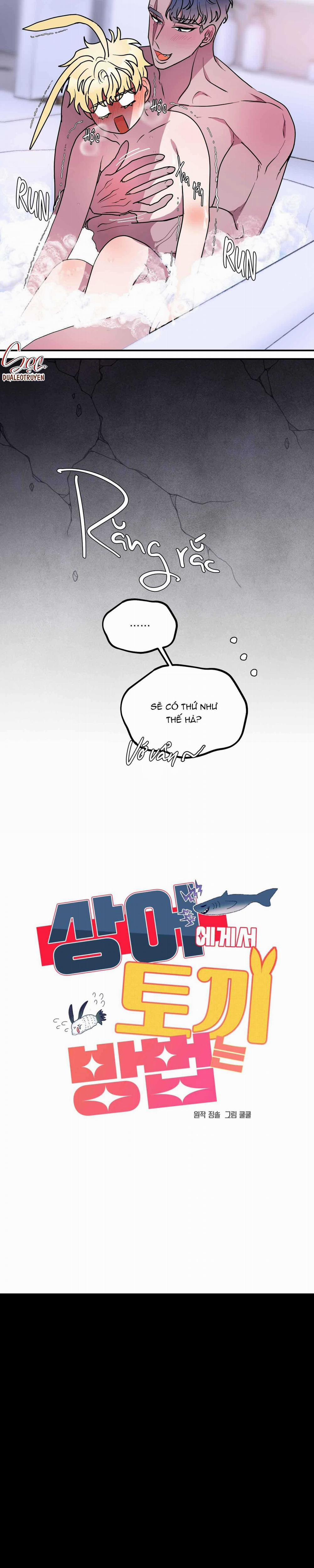 CÁ MẬP VÀ CÔ DÂU THỎ 43 trang 14