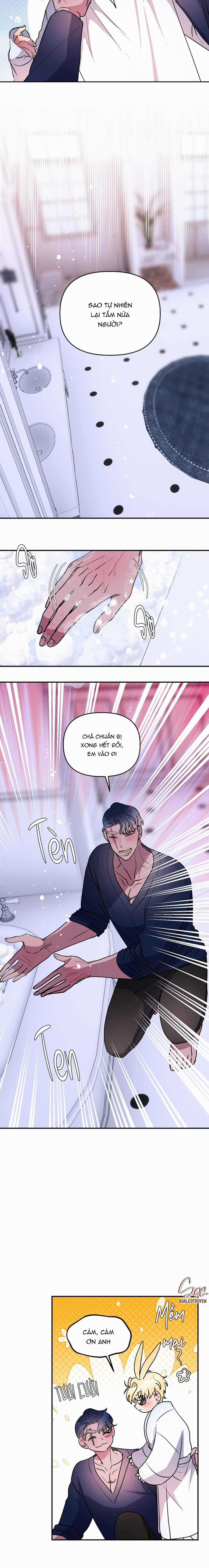 CÁ MẬP VÀ CÔ DÂU THỎ 43 trang 2