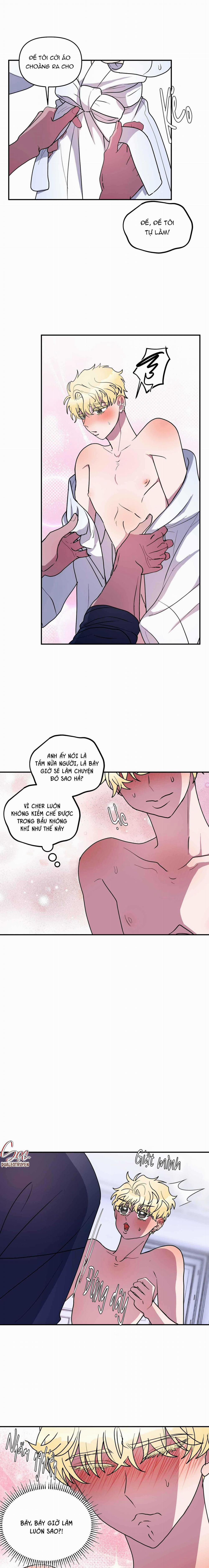 CÁ MẬP VÀ CÔ DÂU THỎ 43 trang 3