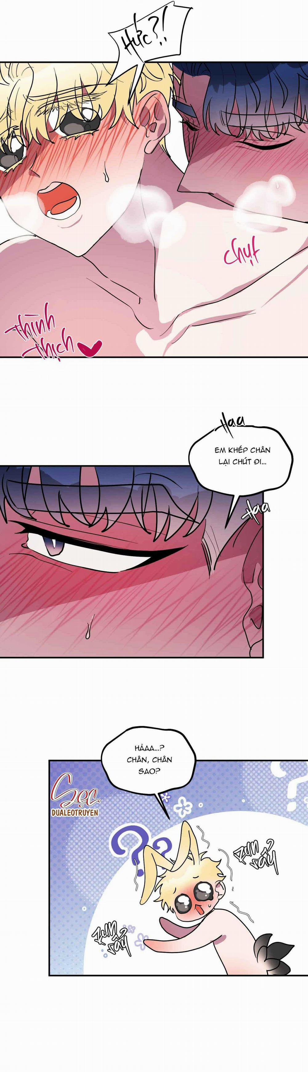 CÁ MẬP VÀ CÔ DÂU THỎ 44 trang 19